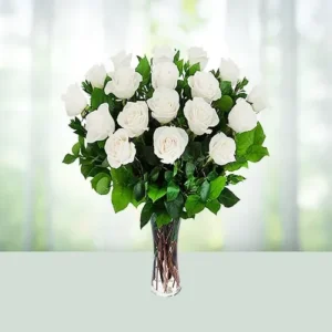 18 White Roses