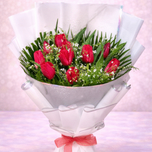 Royal Dutch Tulip Minimalist