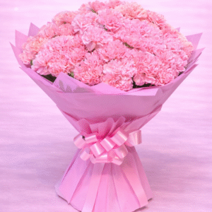 Pink Petal Cloud (40 Carnations)