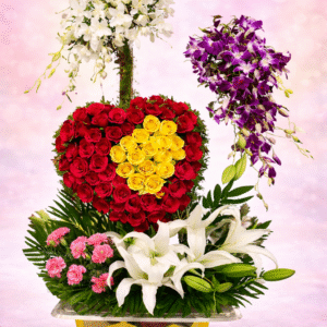 Royal Bicolor Heart & Orchid Fusion