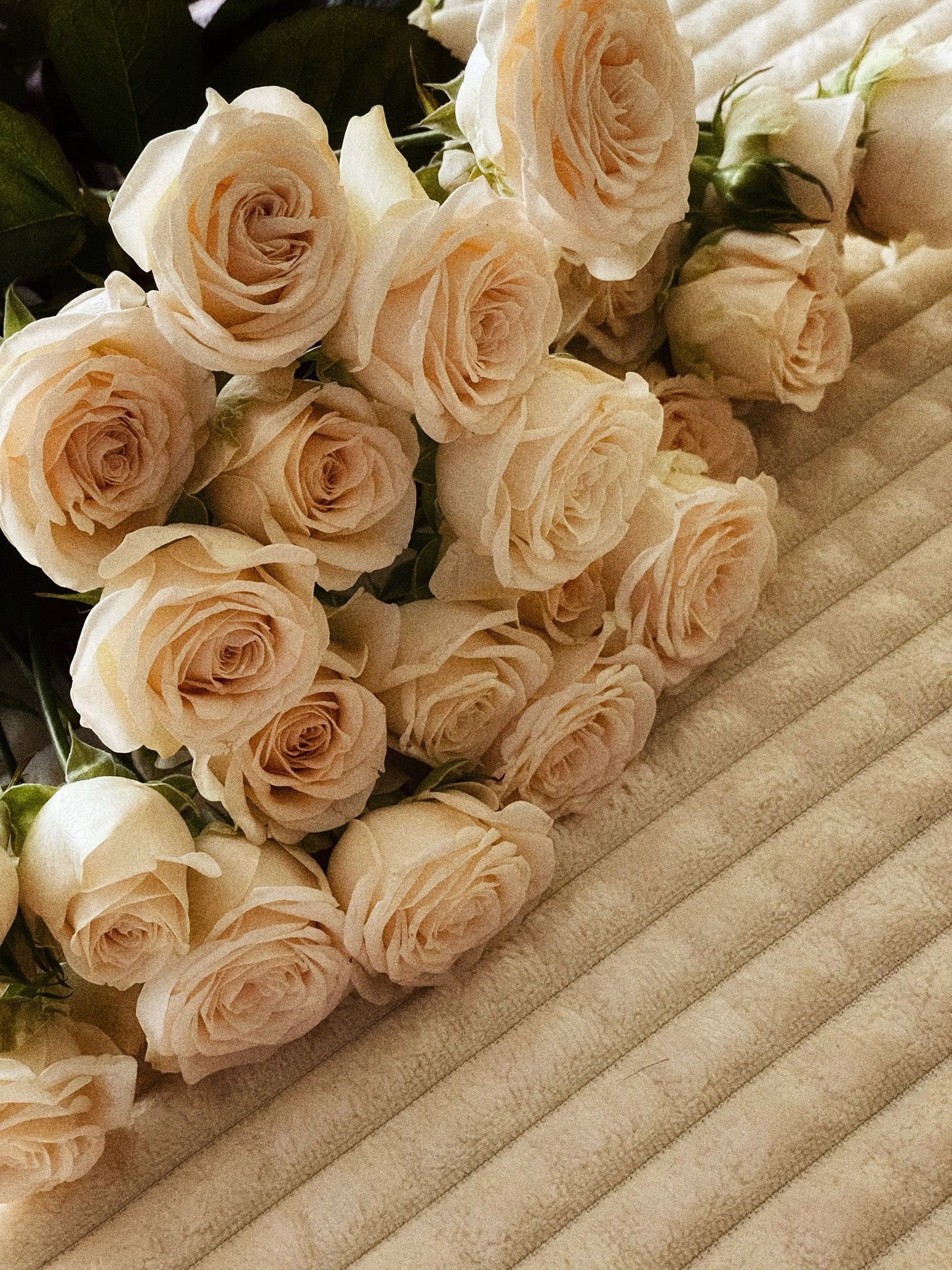 Cream roses luxury bouquet - The Petal Studio Chandigarh