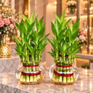Twin Lucky Bamboo Glass Bowl